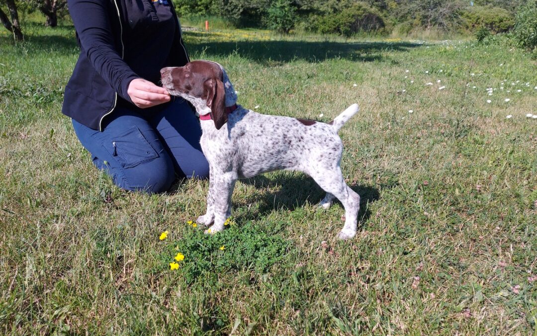 Juno’s DNA Results are In